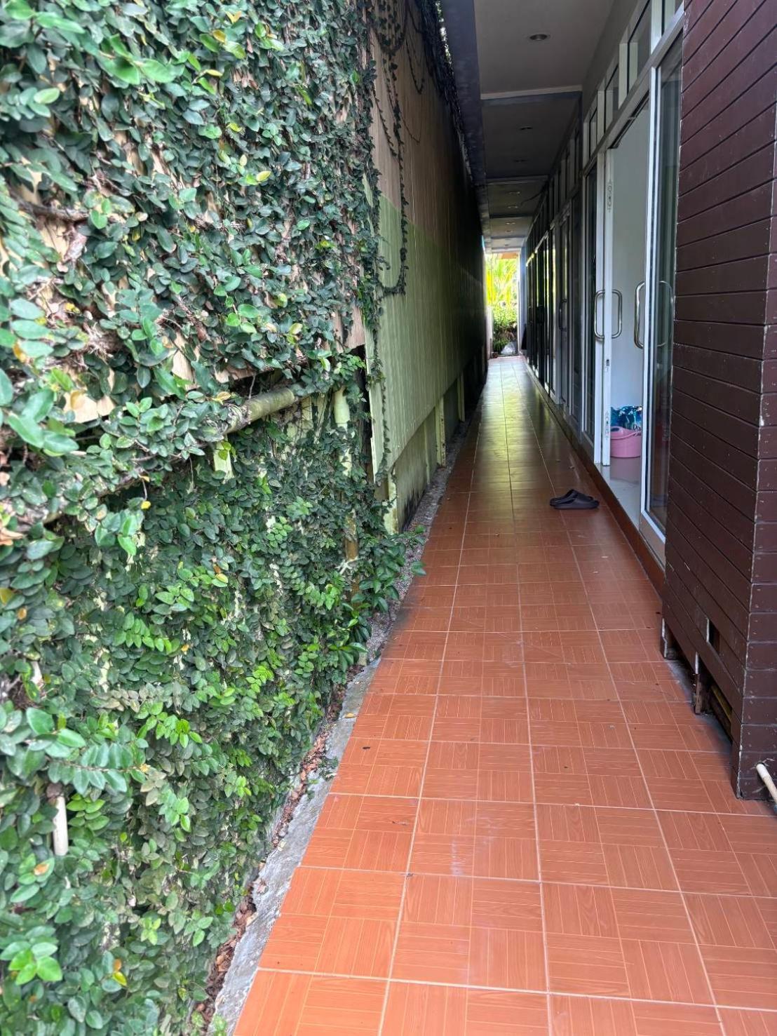 Hotel Rung Phangan Baan Tai Exteriör bild